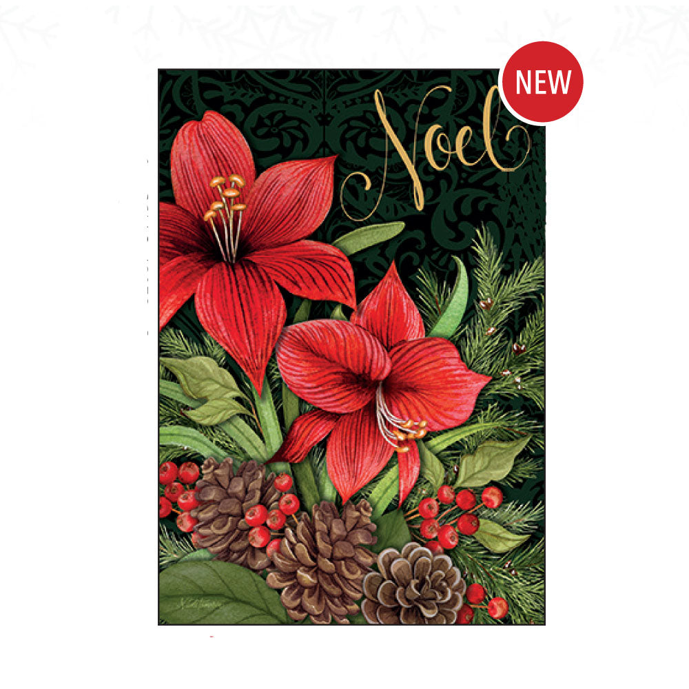 Noel Poinsettia Inspirational Boxed Christmas Cards 10ct